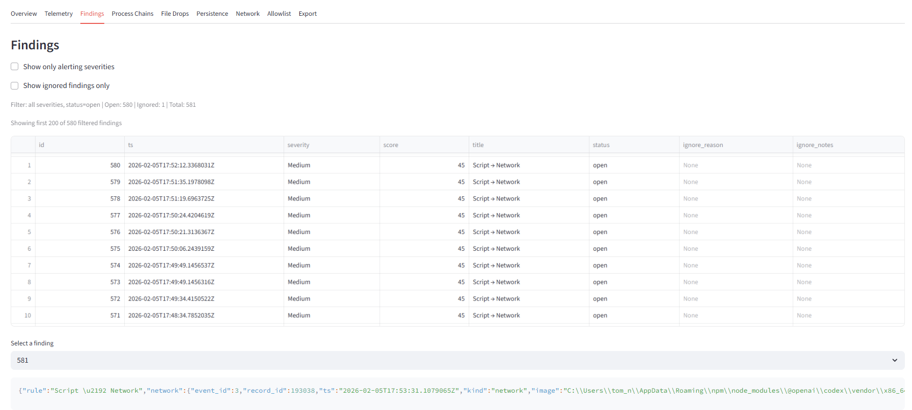 Finding detail showing Execute to Persist